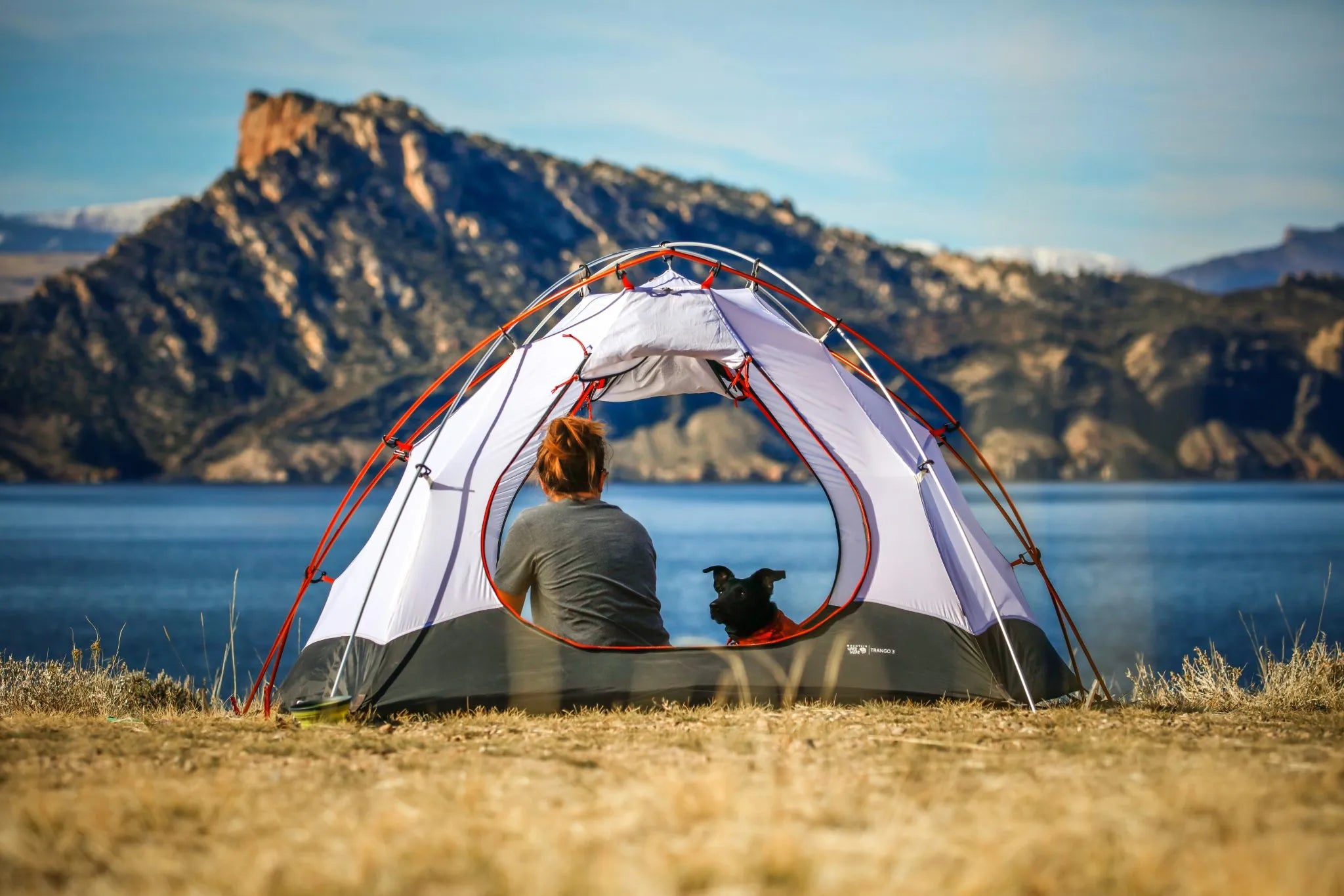 How to Camp with a Dog: The Complete Beginner’s Guide