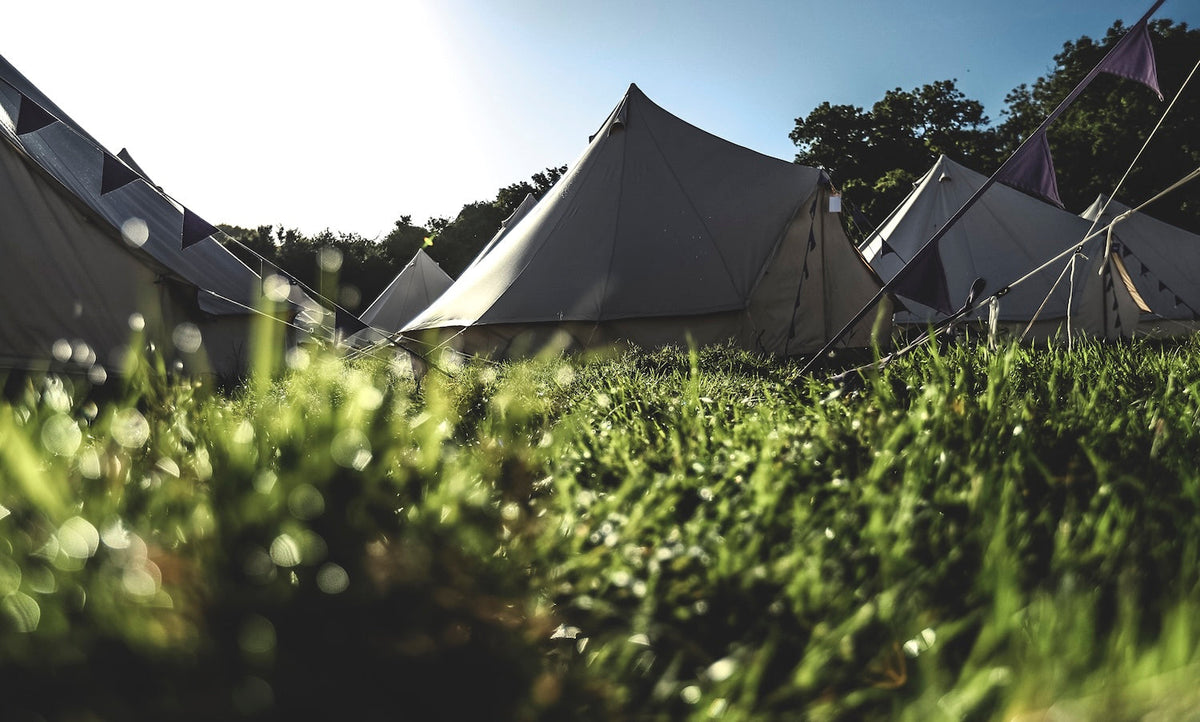 Camping tents pitched in a field of green grass