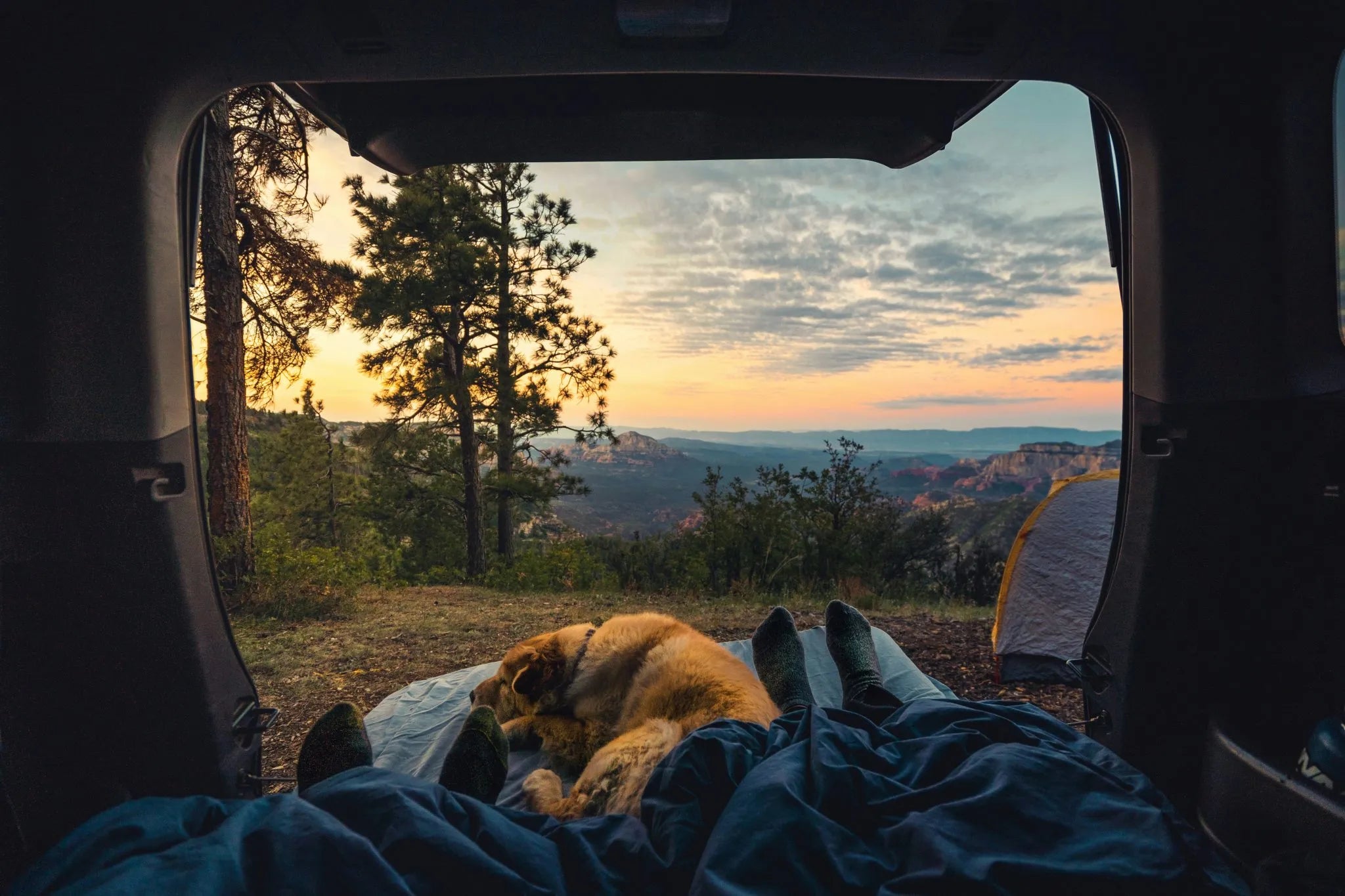 How to Wash Your Dog After a Hike (Without a Hose)